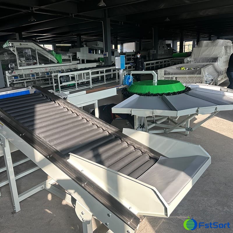 images/1703750367064fruit sorting machine.jpg